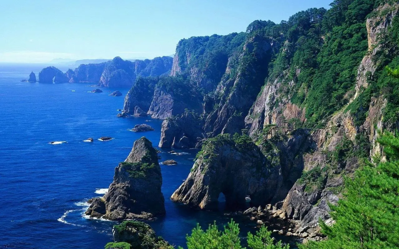 高质量绿色高端